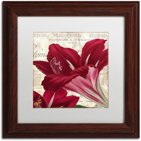Trademark Fine Art "Amaryllis " Canvas Art by Color Bakery White Matte, Wood Frame