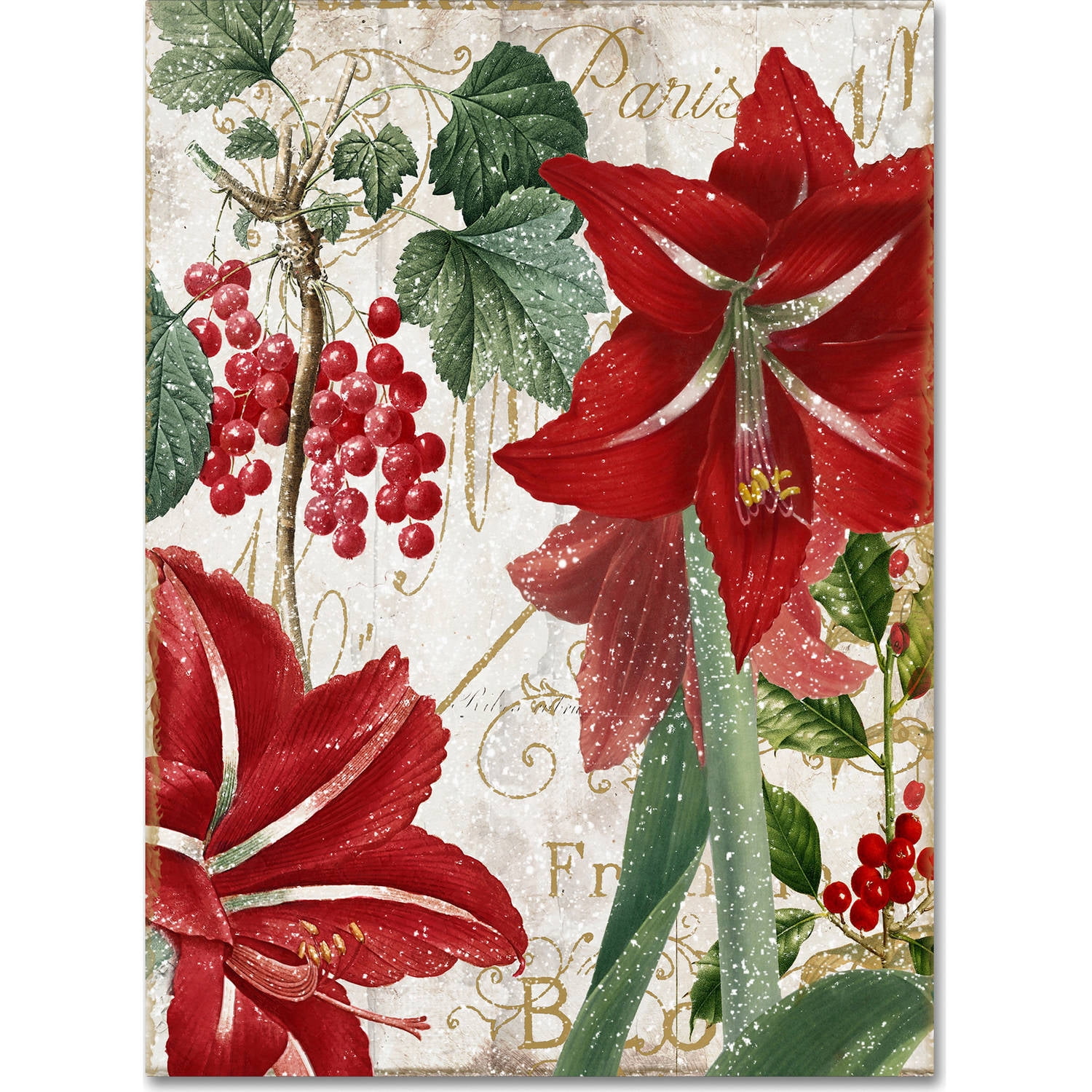 Trademark Fine Art "Amaryllis" Canvas Art by Color Bakery
