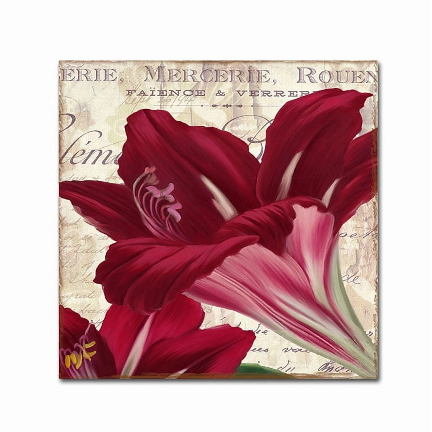 Trademark Fine Art "Amaryllis " Canvas Art by Color Bakery
