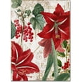 thumbnail image 1 of Trademark Fine Art "Amaryllis" Canvas Art by Color Bakery, 1 of 3
