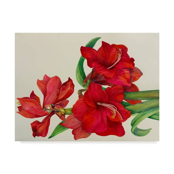 Trademark Fine Art 'Amaryllis Standing Tall' Canvas Art by Joanne Porter