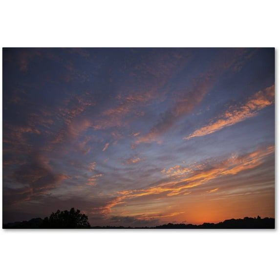 Trademark Fine Art "Amazing Grace" Canvas Art by Kurt Shaffer