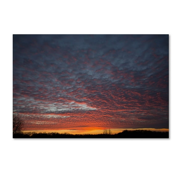 Trademark Fine Art "Amazing Winter Sunset" Canvas Art by Kurt Shaffer