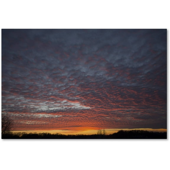 Trademark Fine Art "Amazing Winter Sunset" Canvas Art by Kurt Shaffer