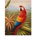 thumbnail image 1 of Trademark Fine Art "Amazon Rain Forest" Canvas Art, 1 of 2