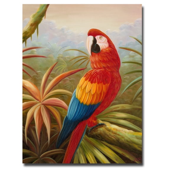 Trademark Fine Art "Amazon Rain Forest" Canvas Art