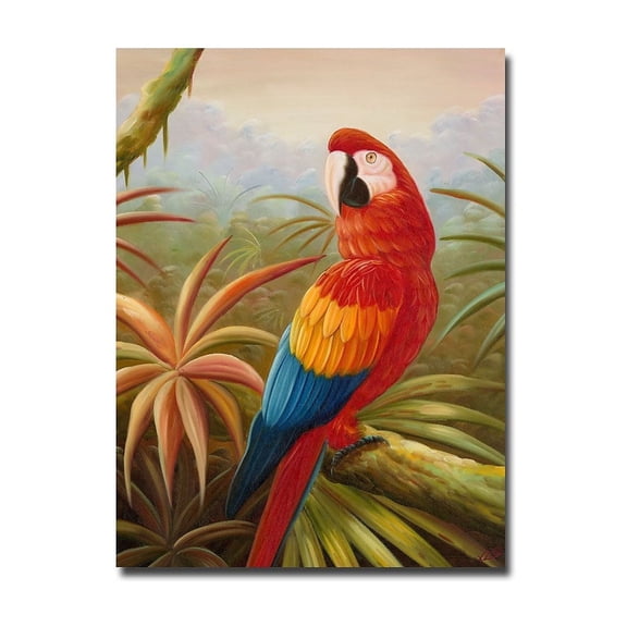 Trademark Fine Art "Amazon Rain Forest" Canvas Art