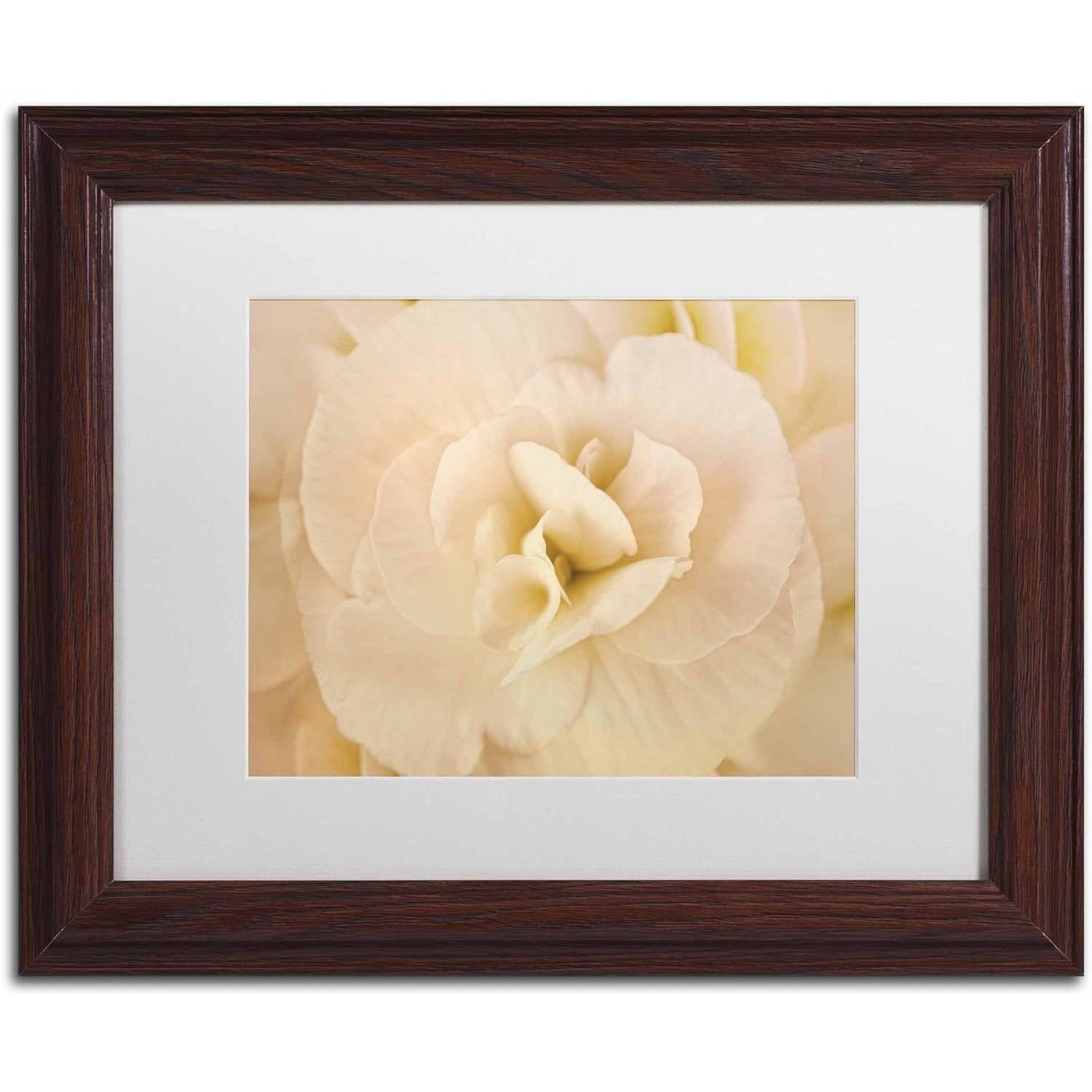 Trademark Fine Art 'Amber Begonia Flower' Canvas Art by Cora Niele, White Matte, Wood Frame