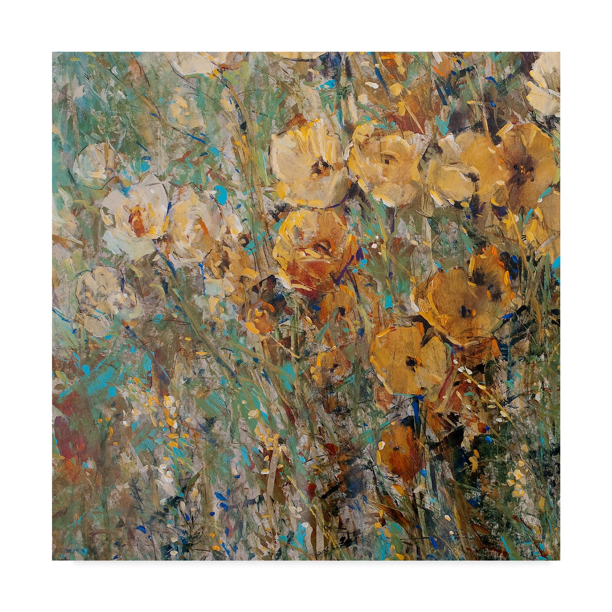 Trademark Fine Art 'Amber Poppy Field I' Canvas Art by Tim OToole