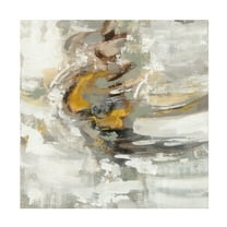 Trademark Fine Art 'Amber Ring' Canvas Art by Silvia Vassileva