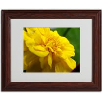 Trademark Fine Art "Ambiguous Vision" by Monica Fleet, Wood Frame