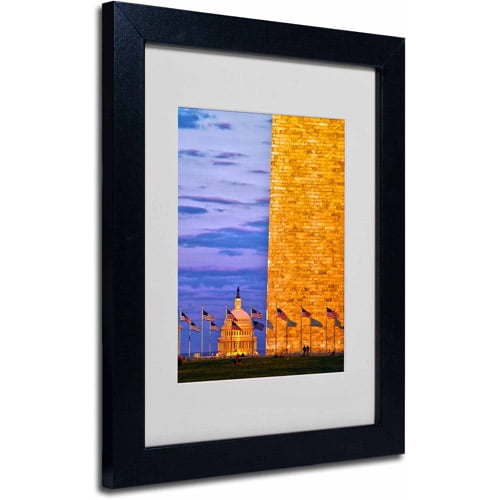 Trademark Fine Art "America" Canvas Art by CATeyes, Black Frame