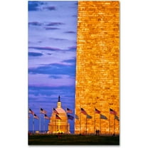 Trademark Fine Art "America" Canvas Art by CATeyes