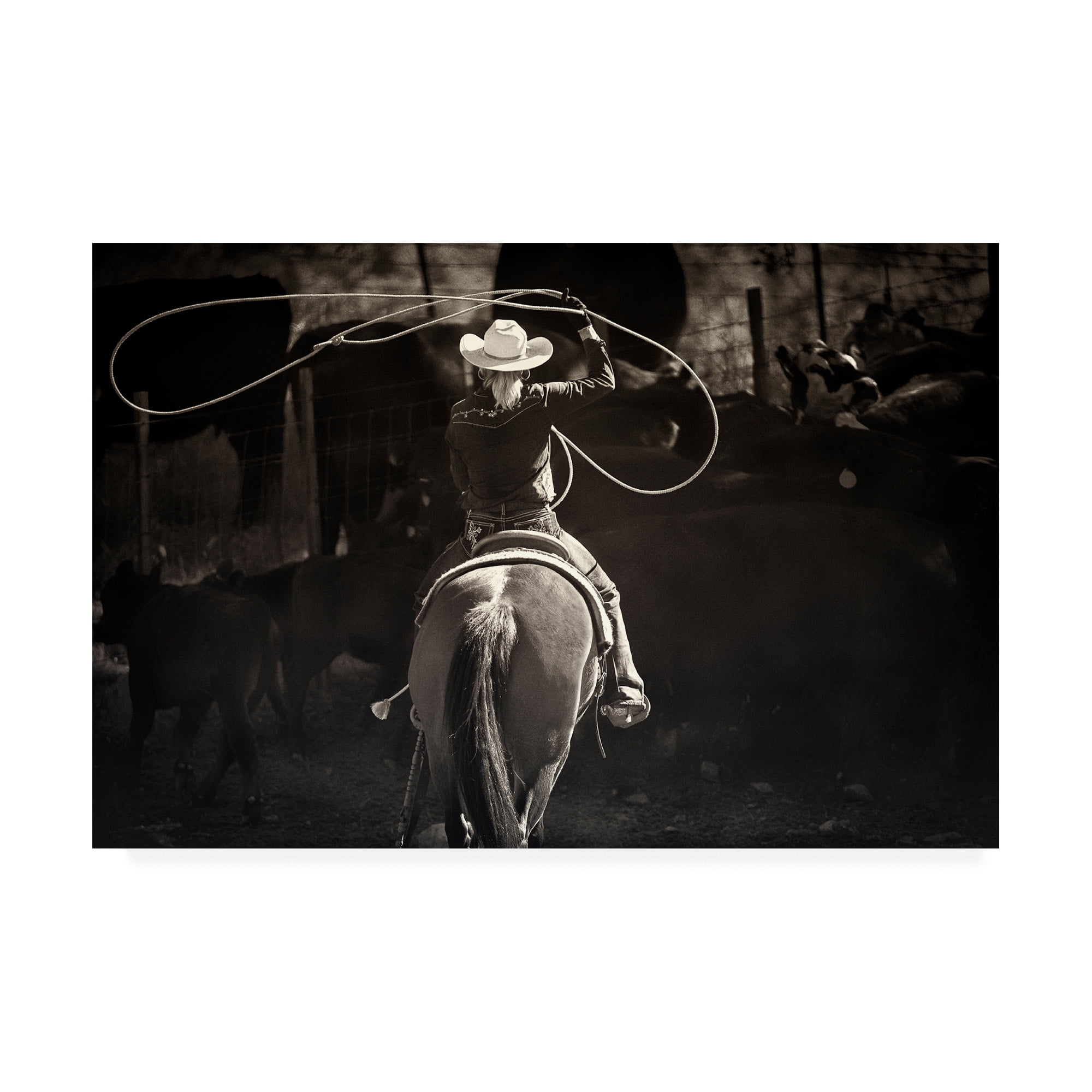 Trademark Fine Art 'American Cowgirl' Canvas Art by Lisa Dearin