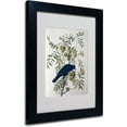 thumbnail image 1 of Trademark Fine Art "American Crow" Canvas Art by John James Audubon, Black Frame, 1 of 1