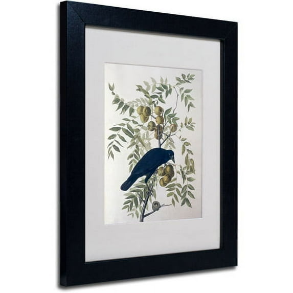 Trademark Fine Art "American Crow" Canvas Art by John James Audubon, Black Frame
