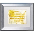 thumbnail image 1 of Trademark Fine Art "American Dream I" Canvas Art by Color Bakery, White Matte, Silver Frame, 1 of 1