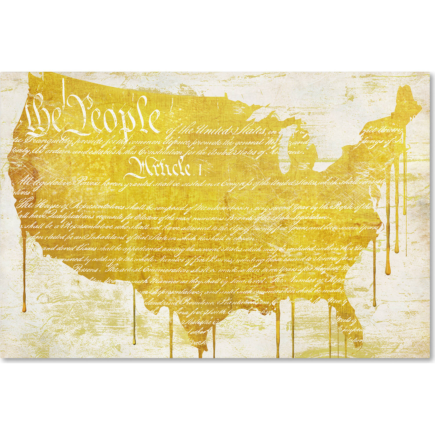 Trademark Fine Art "American Dream II" Canvas Art by Color Bakery