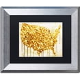 thumbnail image 1 of Trademark Fine Art "American Dream IV" Canvas Art by Color Bakery, Black Matte, Silver Frame, 1 of 1