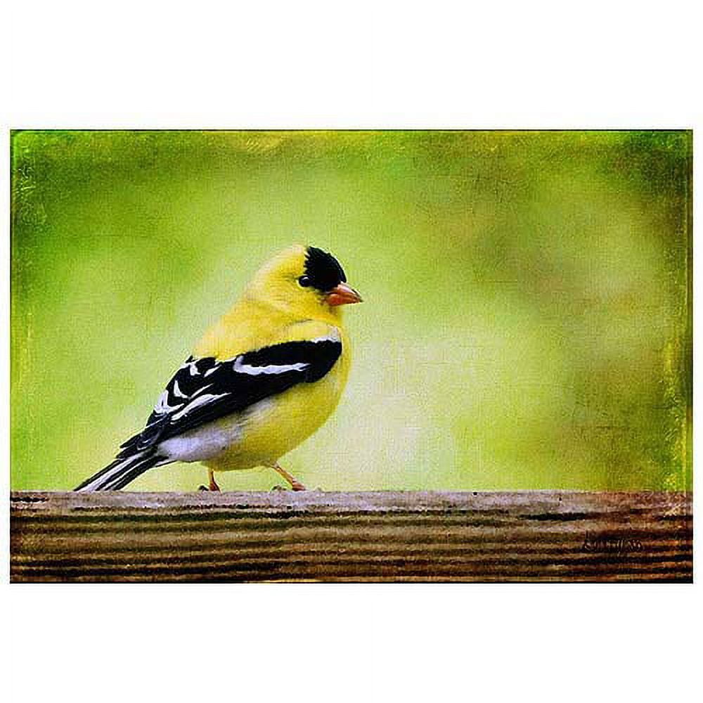 American Golden Finch in Spring Canvas Art with Gold Frame
