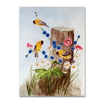 Trademark Fine Art 'American Goldfinch 3' Canvas Art by Arie Reinhardt Taylor