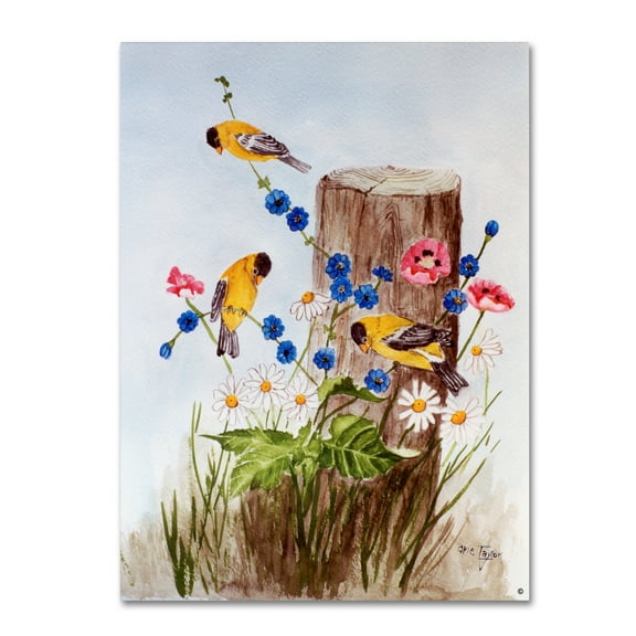 Trademark Fine Art 'American Goldfinch 3' Canvas Art by Arie Reinhardt Taylor