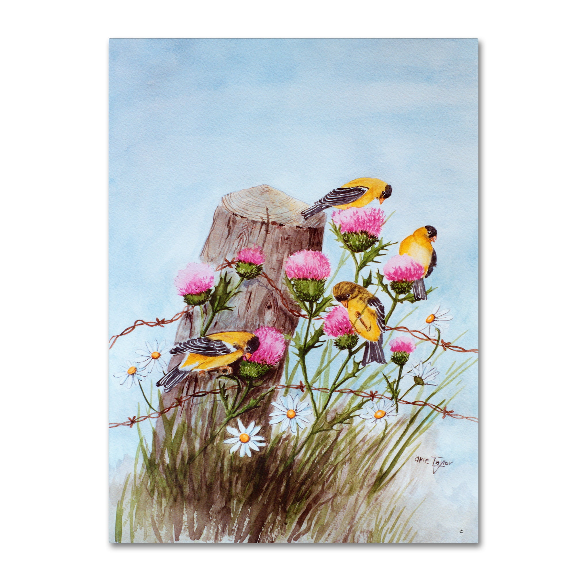 Trademark Fine Art 'American Goldfinch' Canvas Art by Arie Reinhardt Taylor