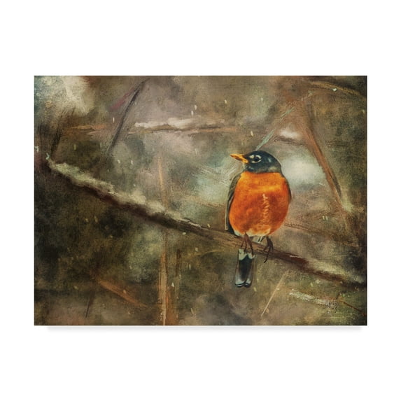 Trademark Fine Art 'American Robin in the Snow' Canvas Art by Lois Bryan