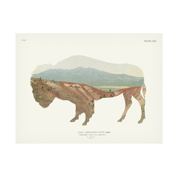 Trademark Fine Art 'American Southwest Buffalo' Canvas Art by Wild Apple Portfolio