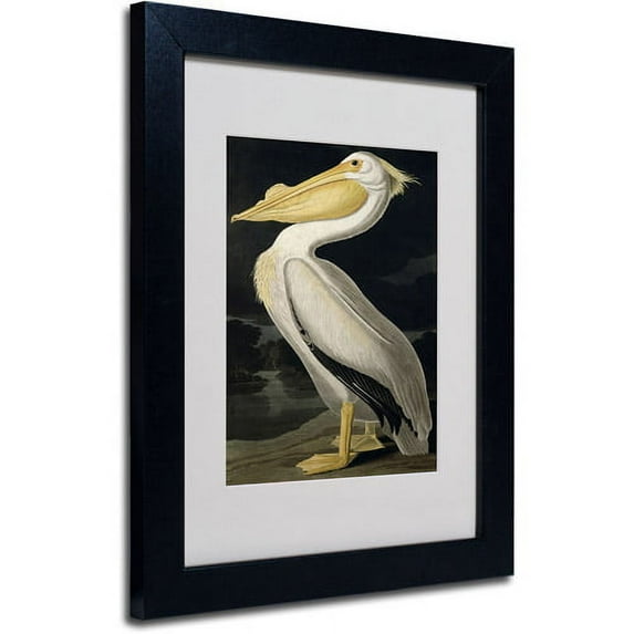 Trademark Fine Art "American White Pelican" Canvas Art by John James Audubon, Black Frame
