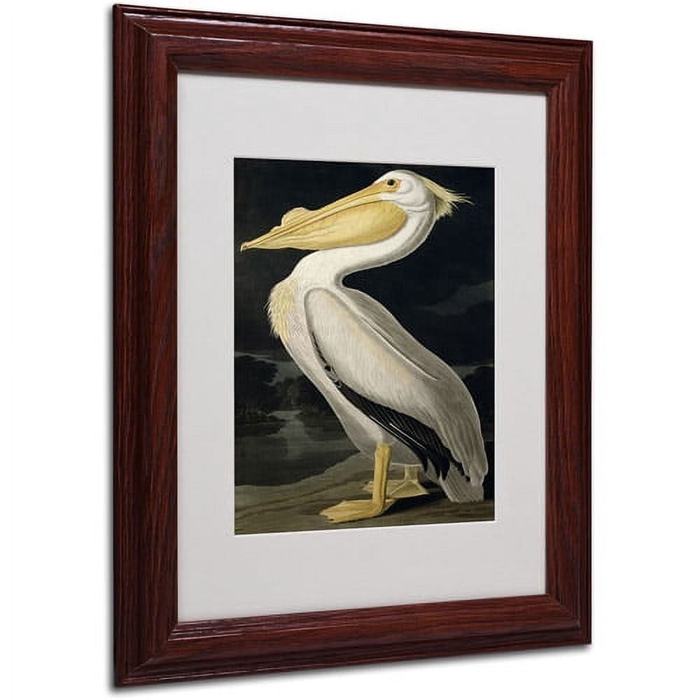 Trademark Fine Art "American White Pelican" Canvas Art by John James Audubon, Wood Frame