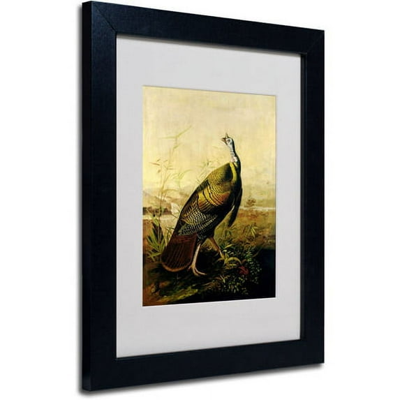 Trademark Fine Art "American Wild Turkey Cock" Canvas Art by John James Audubon, Black Frame