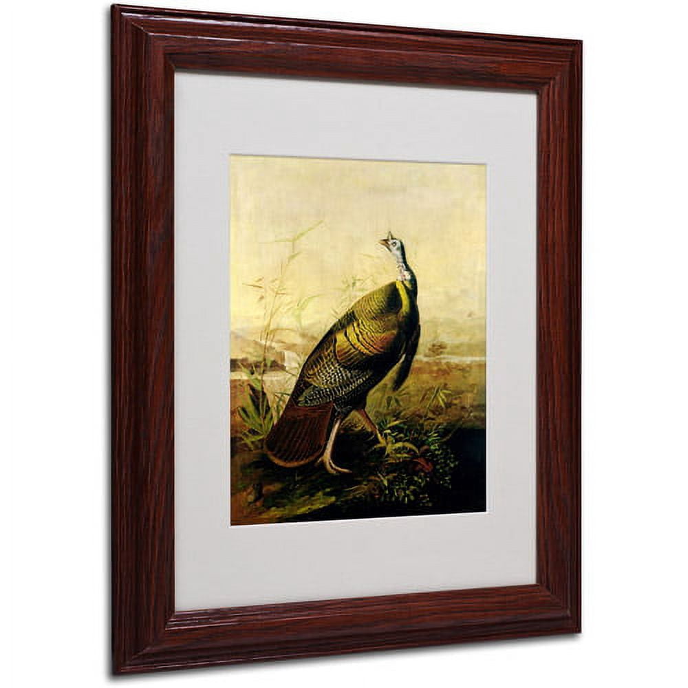 Trademark Fine Art "American Wild Turkey Cock" Canvas Art by John James Audubon, Wood Frame