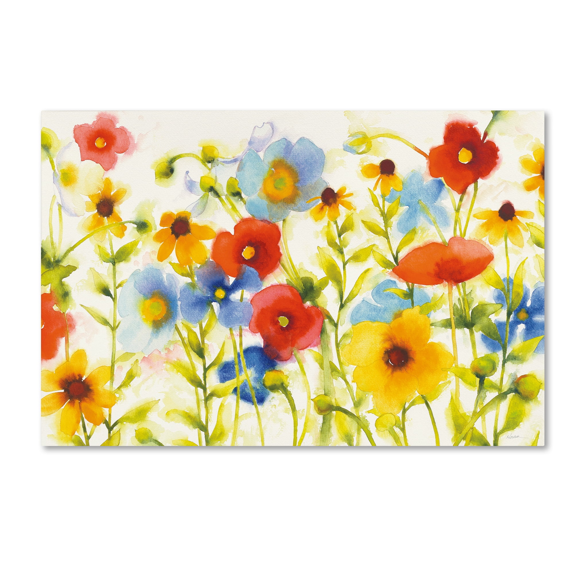 Trademark Fine Art "Americana Meadow I Crop" Canvas Art by Shirley Novak