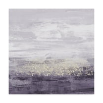 Trademark Fine Art 'Amethyst Glitter II' Canvas Art by Jennifer Goldberger