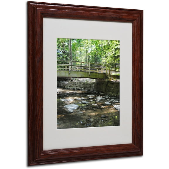 Trademark Fine Art "Amicable Escape" by Monica Fleet, Wood Frame