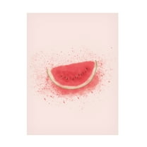 Trademark Fine Art Aminah Eleonora Watermelon Splash Canvas Wall Art