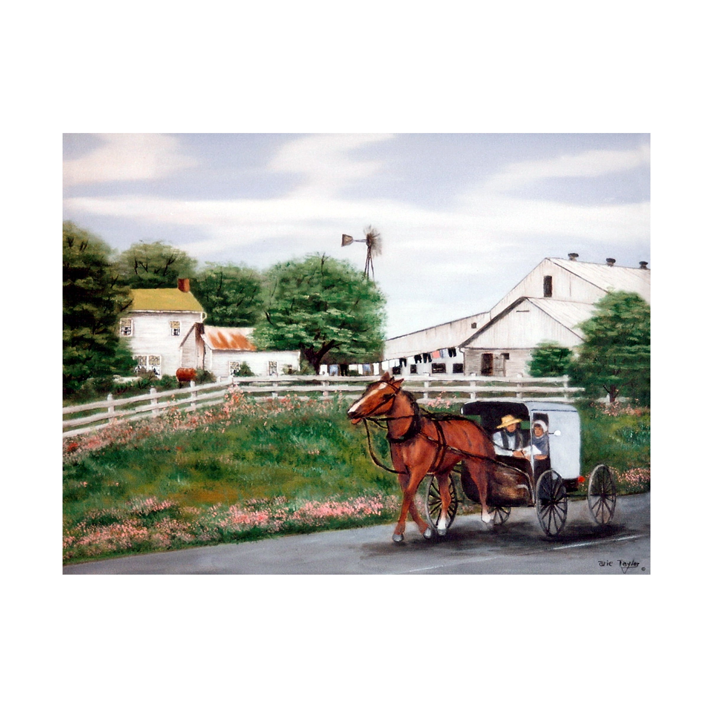 Trademark Fine Art Arie Reinhardt Taylor Amish Country 1 Canvas Wall Art - 24x32