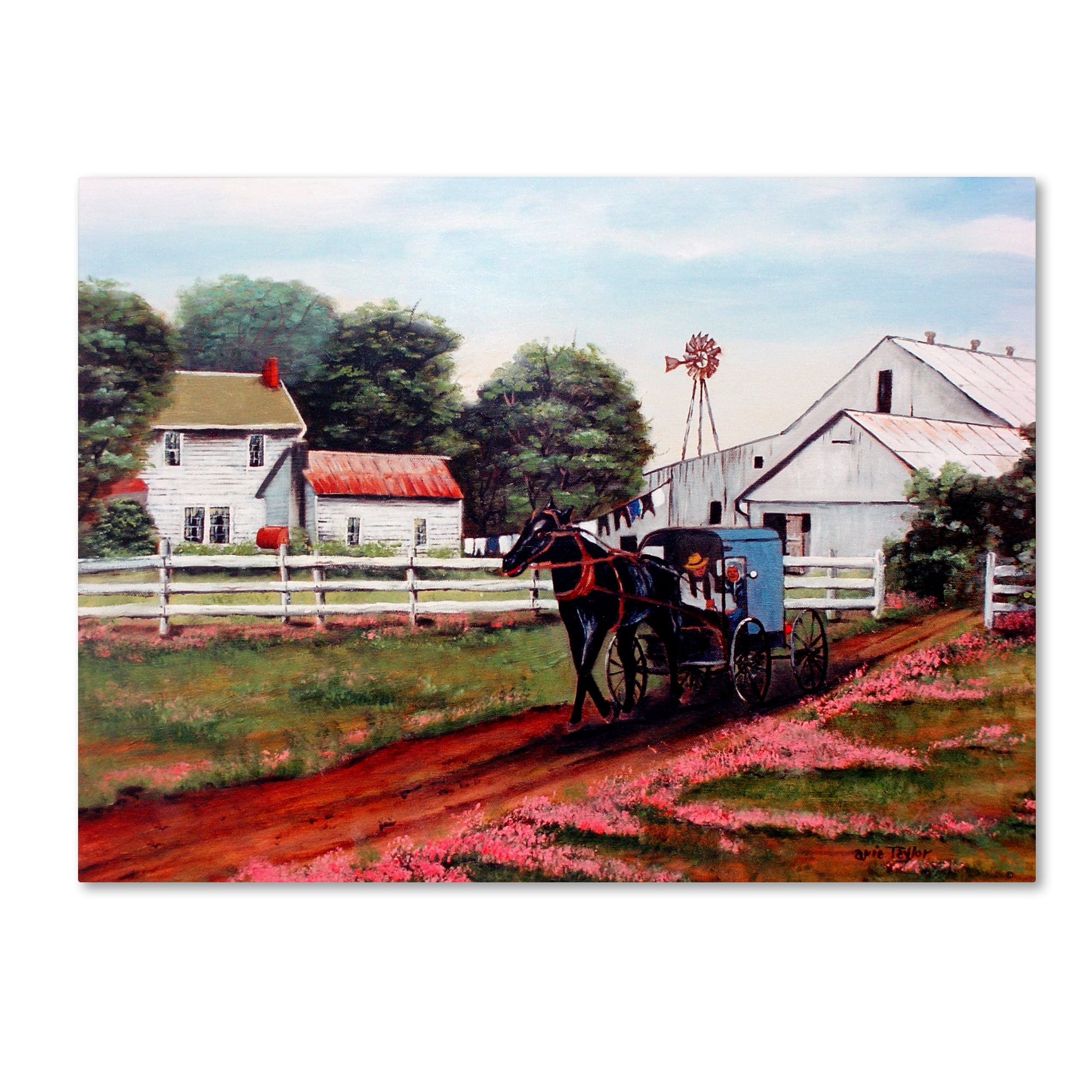 Trademark Fine Art 'Amish Country 2' Canvas Art by Arie Reinhardt Taylor