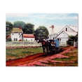 thumbnail image 1 of Trademark Fine Art 'Amish Country 2' Canvas Art by Arie Reinhardt Taylor, 1 of 3