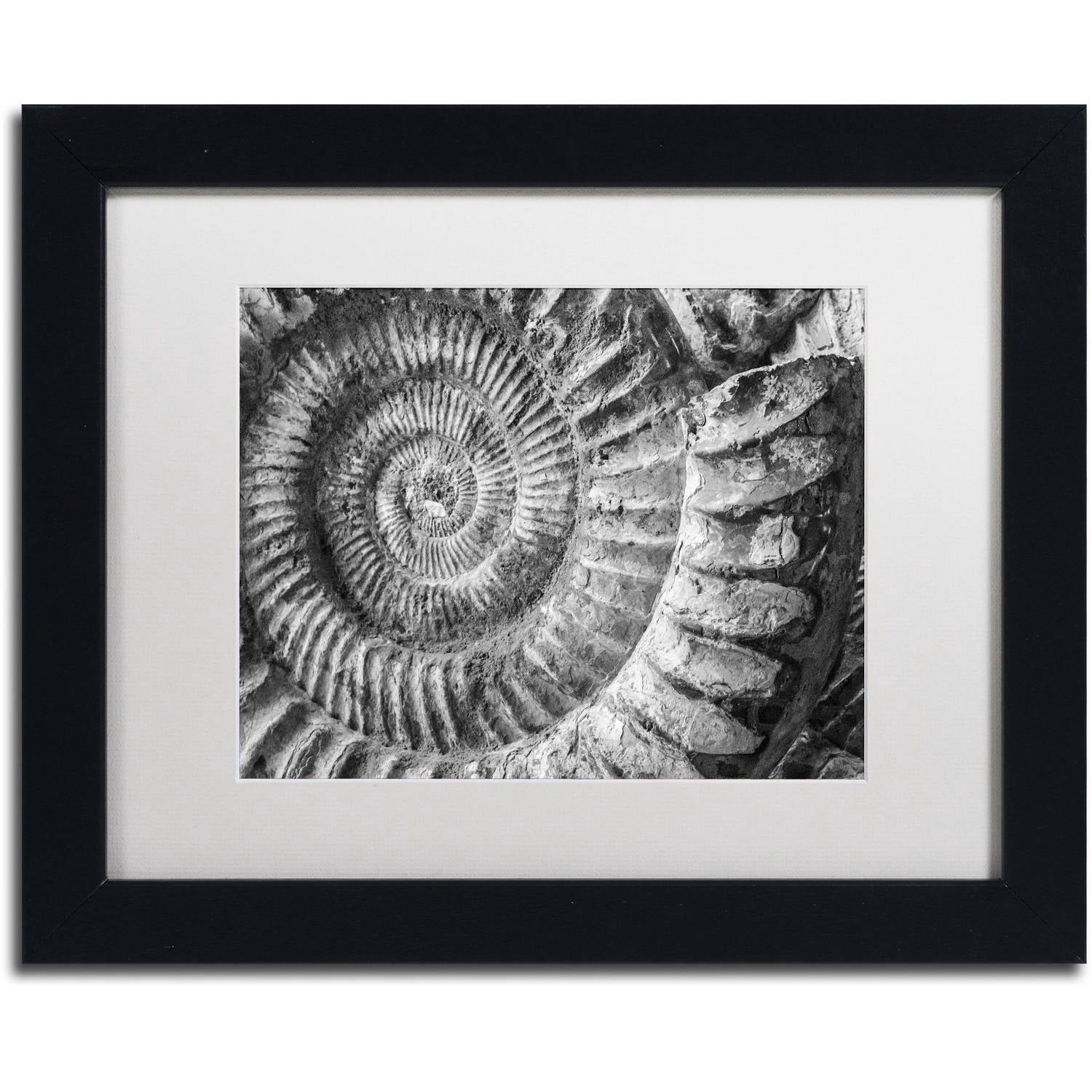 Trademark Fine Art "Amonita 1" Canvas Art by Moises Levy White Matte, Black Frame