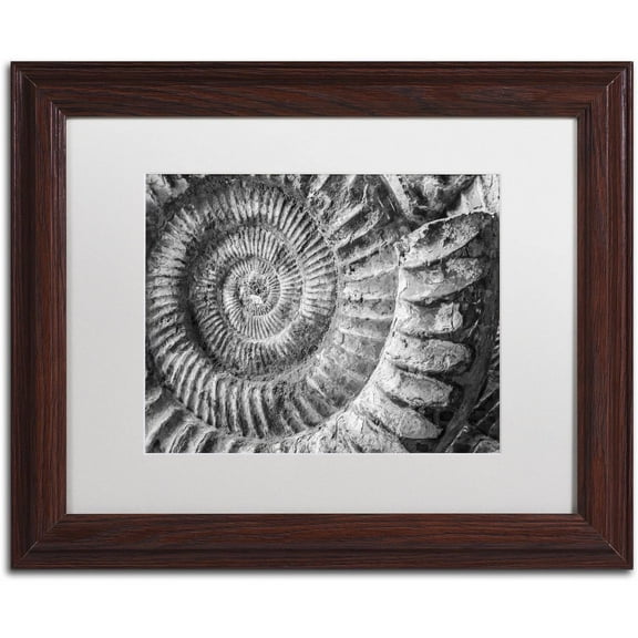 Trademark Fine Art "Amonita 1" Canvas Art by Moises Levy White Matte, Wood Frame