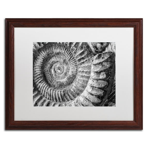 Trademark Fine Art "Amonita 1" Canvas Art by Moises Levy White Matte, Wood Frame