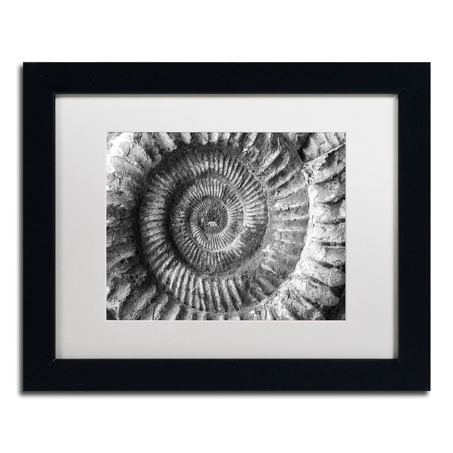 Trademark Fine Art "Amonita 2" Canvas Art by Moises Levy White Matte, Black Frame