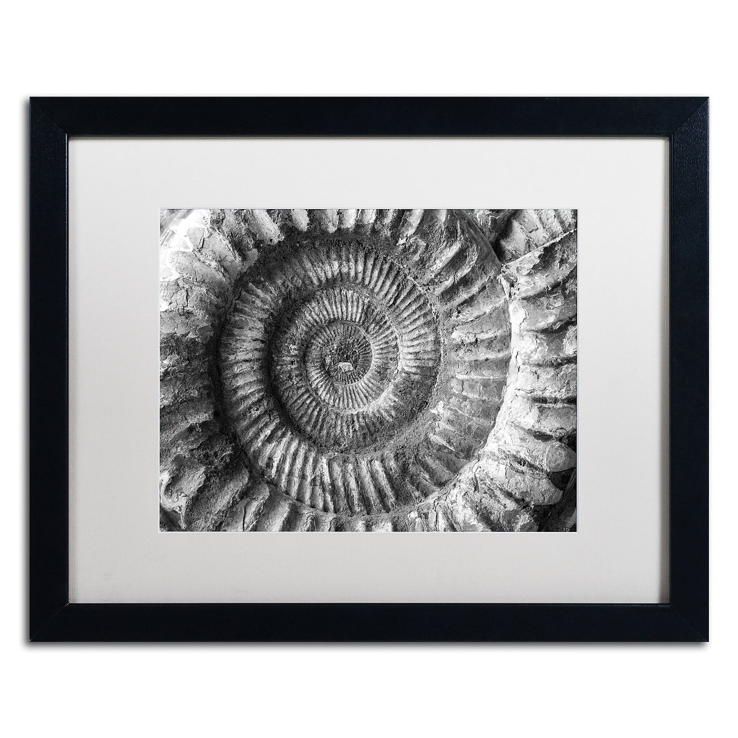 Trademark Fine Art "Amonita 2" Canvas Art by Moises Levy White Matte, Black Frame