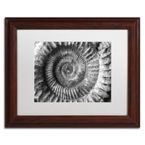 Trademark Fine Art "Amonita 2" Canvas Art by Moises Levy White Matte, Wood Frame