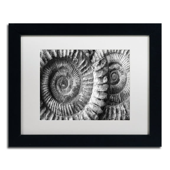 Trademark Fine Art "Amonita 3" Canvas Art by Moises Levy White Matte, Black Frame