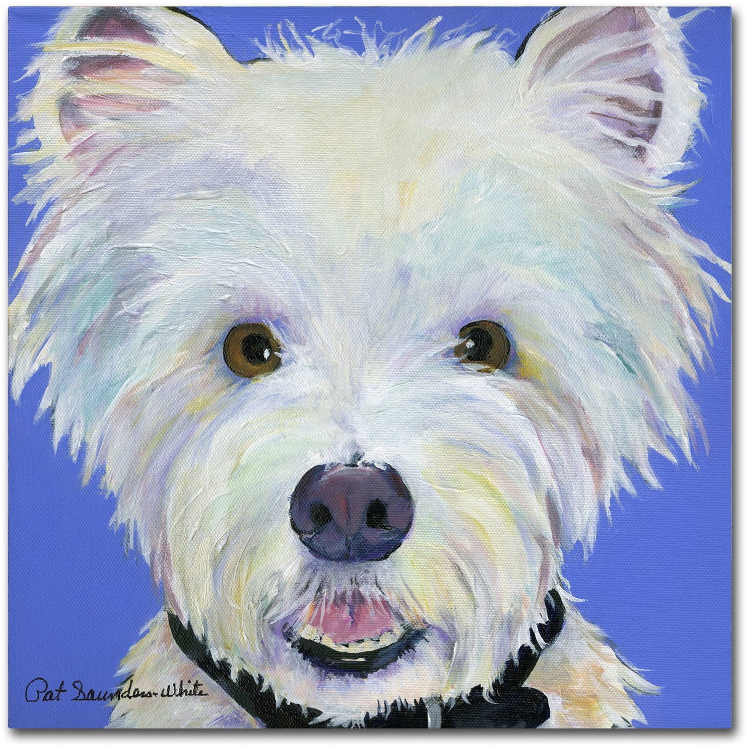 Trademark Fine Art "Amos" Canvas Art by Pat Saunders-White