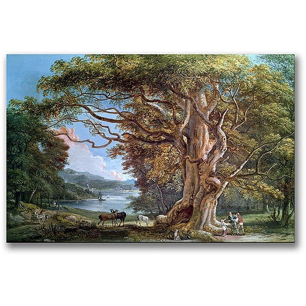Trademark Fine Art "An Ancient Beech Tree, 1794" Canvas Wall Art by Paul Sandby