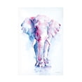 thumbnail image 1 of Trademark Fine Art 'An Elephant Never Forgets' Canvas Art by Aimee Del Valle, 1 of 4